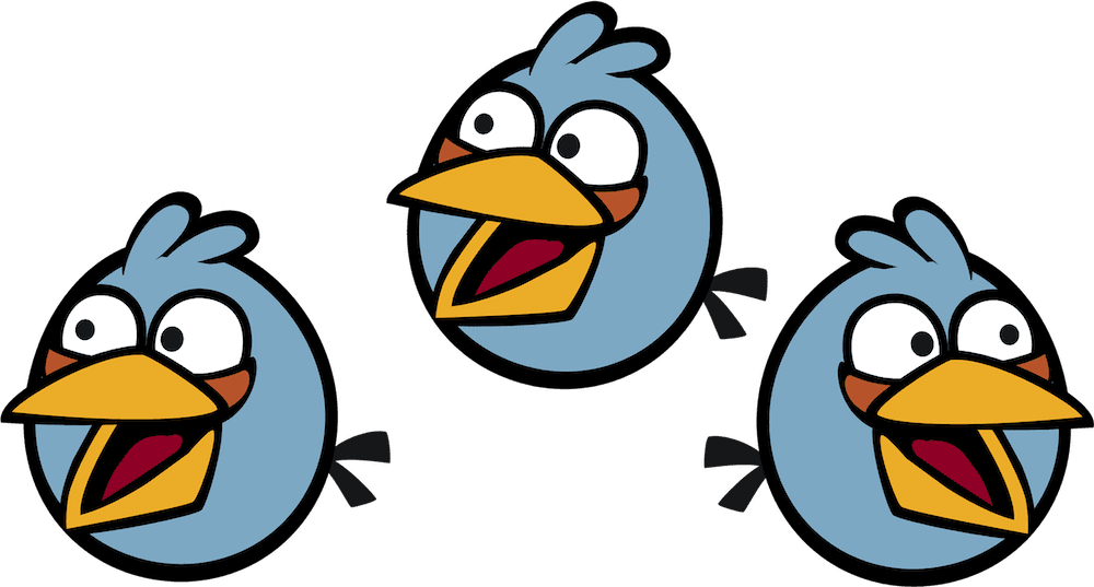 Birds
